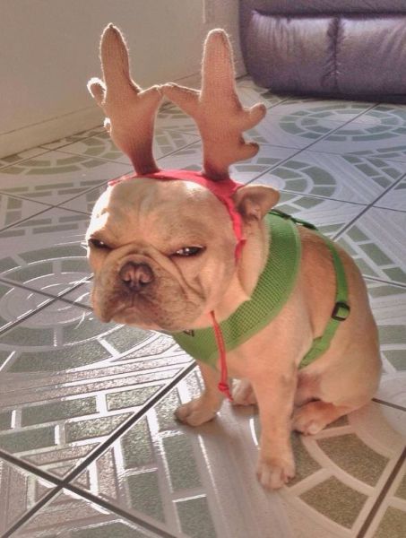 morning picdump 55 pics 31.html - 55 HD Photos | Premium Gallery 2014