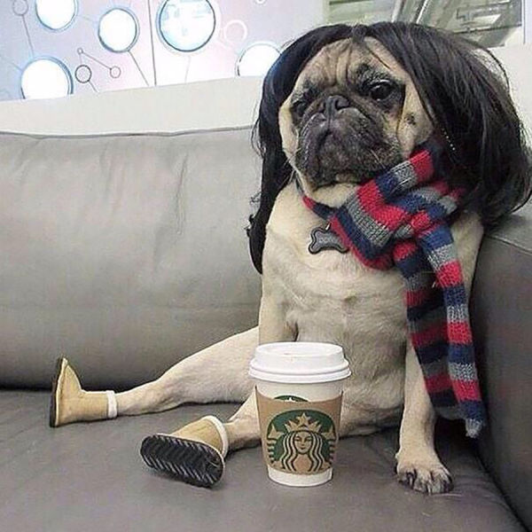 morning picdump 55 pics 31.html - 55 HD Photos | Premium Gallery 2014