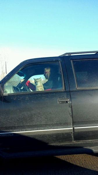 morning picdump 51 pics 23.html - 51 HD Photos | Premium Gallery 2014