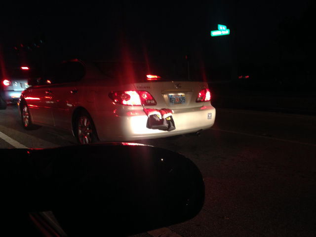 morning picdump 51 pics 23.html - 51 HD Photos | Premium Gallery 2014