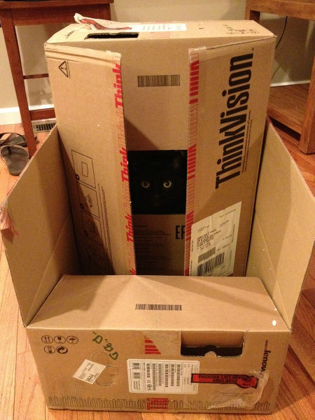 morning picdump 51 pics 23.html - 51 HD Photos | Premium Gallery 2014