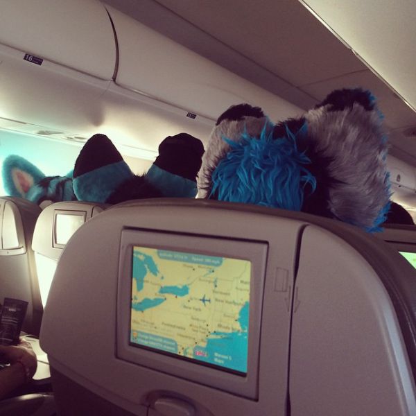 morning picdump 53 pics 20.html - 53 HD Photos | Premium Gallery 2014