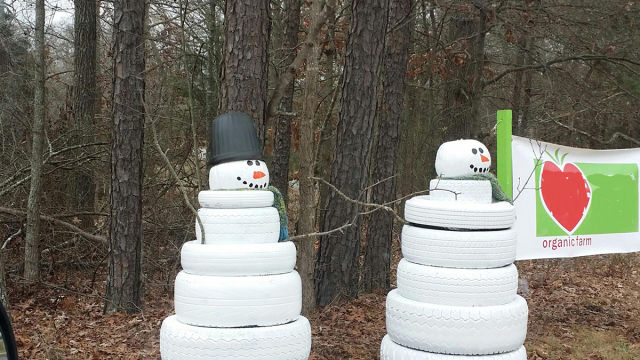 morning picdump 52 pics 15.html - 52 HD Photos | Premium Gallery 2014