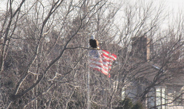 morning picdump 52 pics 15.html - 52 HD Photos | Premium Gallery 2014