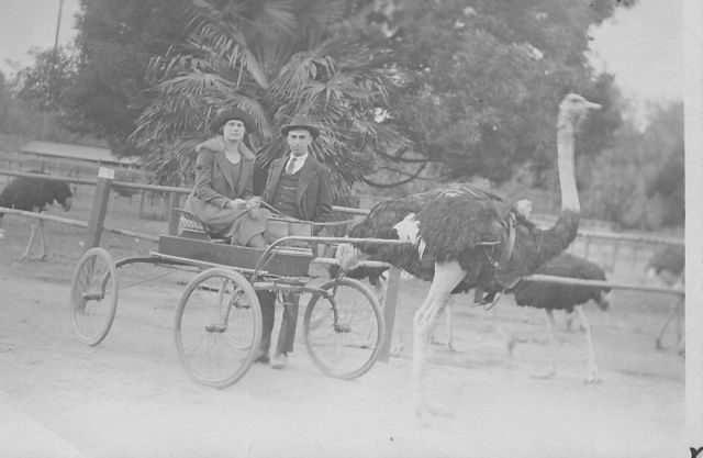 morning picdump 52 pics 15.html - 52 HD Photos | Premium Gallery 2014