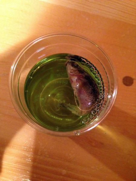 Hell Nope, Not in a Million Years!