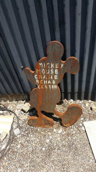 Hell Nope, Not in a Million Years!