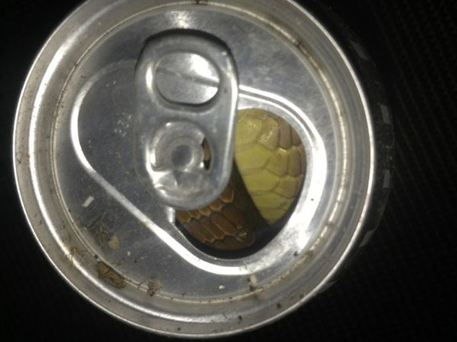 Hell Nope, Not in a Million Years!