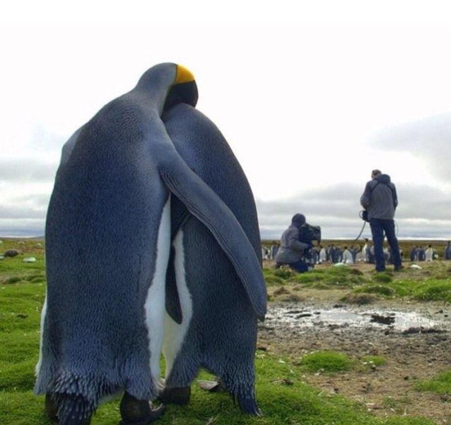 morning picdump 54 pics 1.html - 54 HD Photos | Premium Gallery 2014