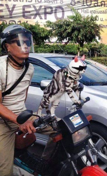 morning picdump 54 pics 1.html - 54 HD Photos | Premium Gallery 2014