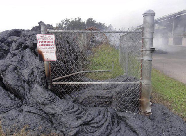 morning picdump 52 pics 3.html - 52 HD Photos | Premium Gallery 2014