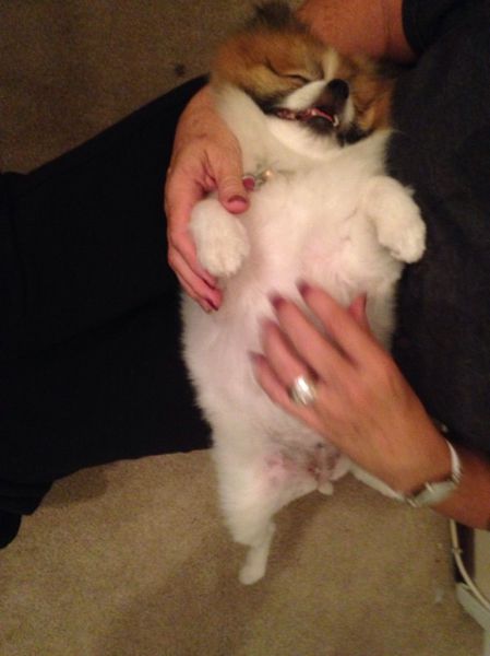 daily picdump 110 pics 38.html - 110 HD Photos | Premium Gallery 2014