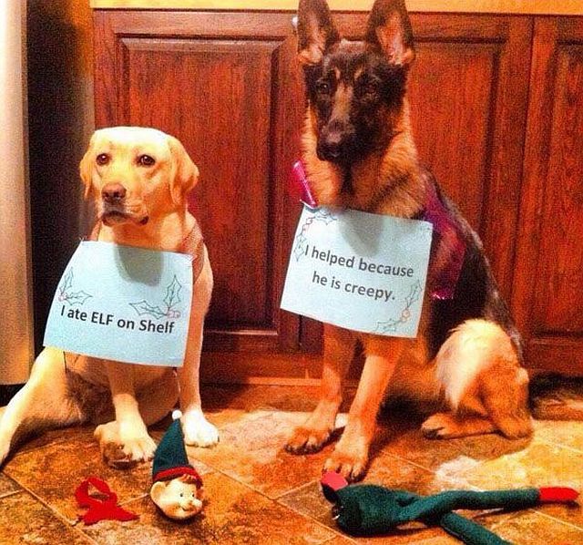 daily picdump 110 pics 38.html - 110 HD Photos | Premium Gallery 2014