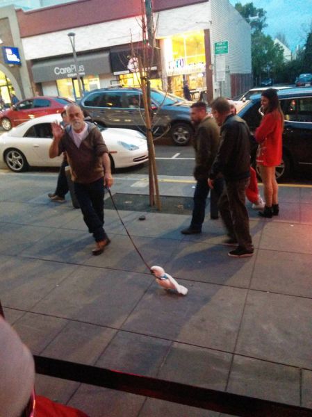 daily picdump 110 pics 38.html - 110 HD Photos | Premium Gallery 2014