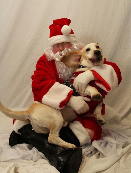 daily picdump 110 pics 38.html - 110 HD Photos | Premium Gallery 2014