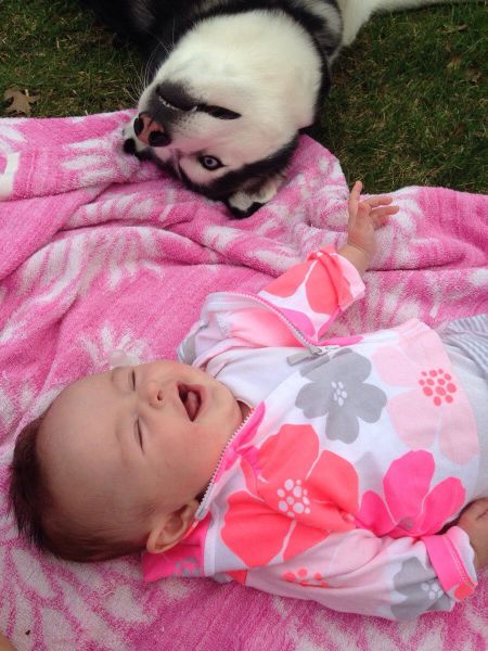 daily picdump 110 pics 38.html - 110 HD Photos | Premium Gallery 2014