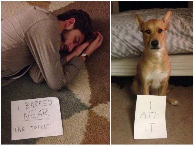 daily picdump 102 pics 41.html - 102 HD Photos | Premium Gallery 2014