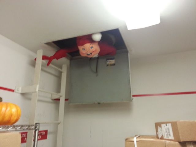 daily picdump 102 pics 41.html - 102 HD Photos | Premium Gallery 2014