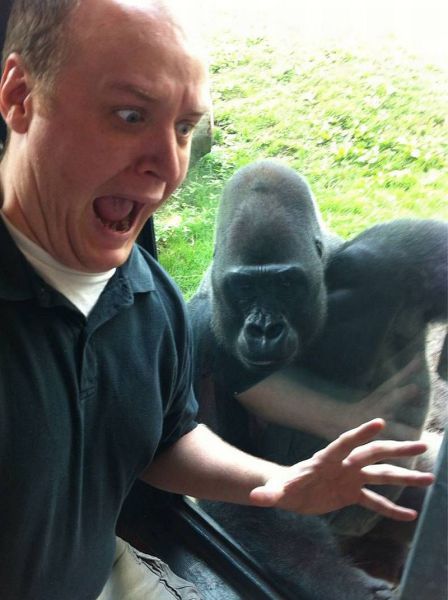 daily picdump 102 pics 41.html - 102 HD Photos | Premium Gallery 2014