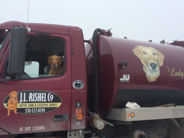 morning picdump 55 pics 21.html - 55 HD Photos | Premium Gallery 2014