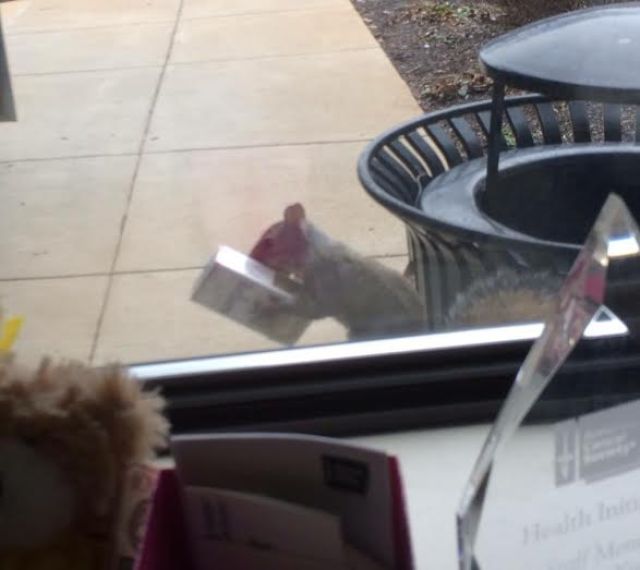 morning picdump 55 pics 21.html - 55 HD Photos | Premium Gallery 2014