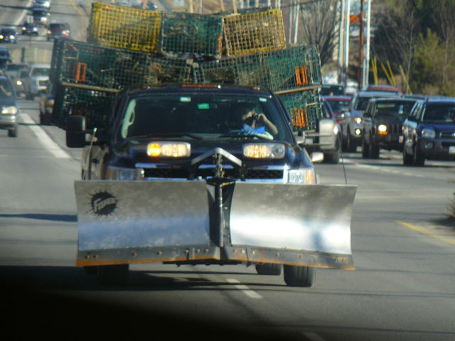 morning picdump 55 pics 21.html - 55 HD Photos | Premium Gallery 2014