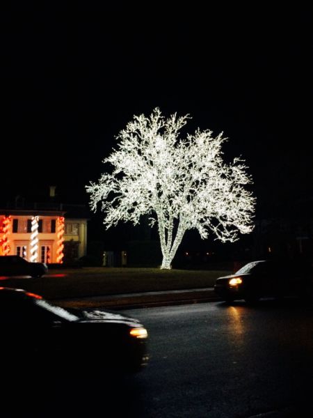 morning picdump 55 pics 21.html - 55 HD Photos | Premium Gallery 2014