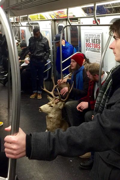 morning picdump 55 pics 21.html - 55 HD Photos | Premium Gallery 2014