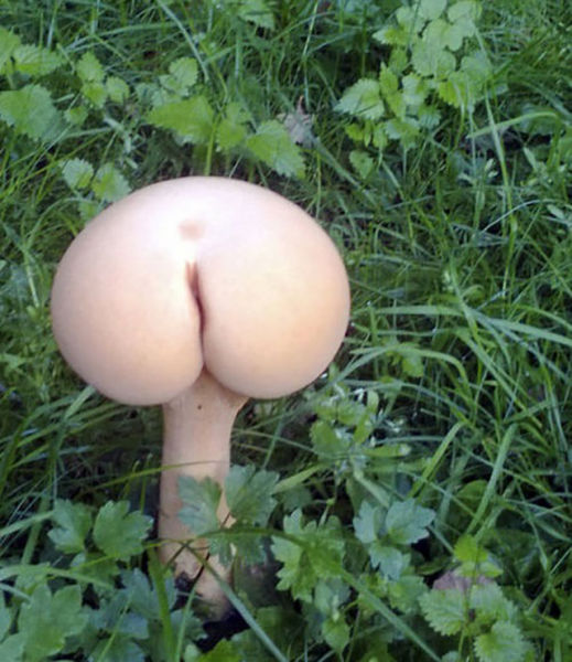 morning picdump 55 pics 21.html - 55 HD Photos | Premium Gallery 2014