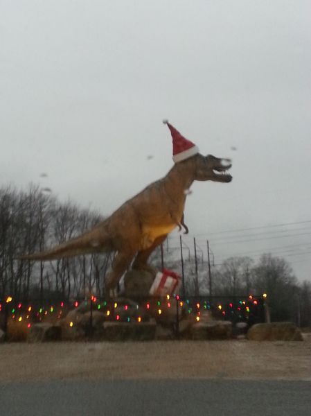 morning picdump 55 pics 21.html - 55 HD Photos | Premium Gallery 2014