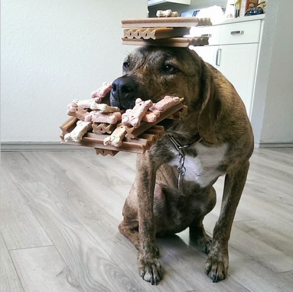 morning picdump 55 pics 46.html - 55 HD Photos | Premium Gallery 2014