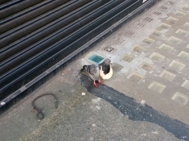 morning picdump 55 pics 46.html - 55 HD Photos | Premium Gallery 2014