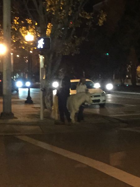 morning picdump 55 pics 46.html - 55 HD Photos | Premium Gallery 2014