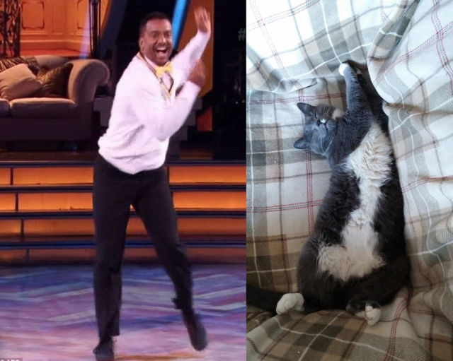 morning picdump 56 pics 25.html - 56 HD Photos | Premium Gallery 2014