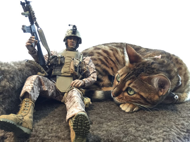 morning picdump 55 pics 45.html - 55 HD Photos | Premium Gallery 2014