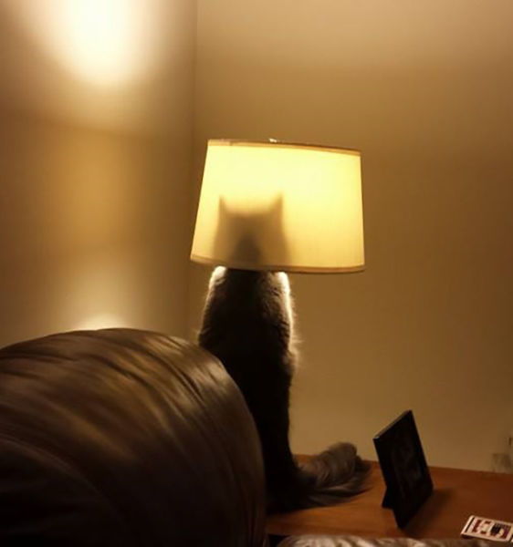 morning picdump 55 pics 45.html - 55 HD Photos | Premium Gallery 2014