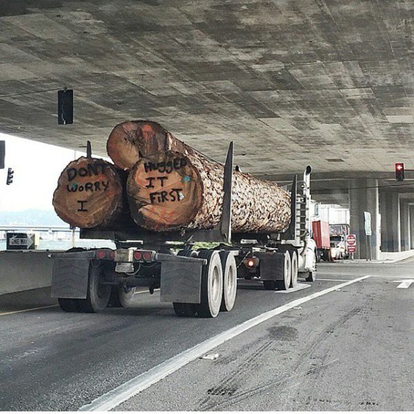 morning picdump 55 pics 45.html - 55 HD Photos | Premium Gallery 2014