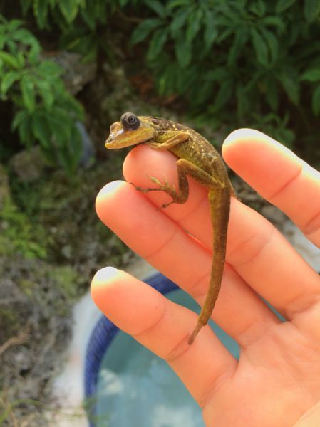 morning picdump 55 pics 45.html - 55 HD Photos | Premium Gallery 2014