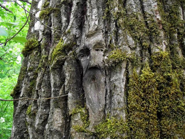 morning picdump 55 pics 45.html - 55 HD Photos | Premium Gallery 2014