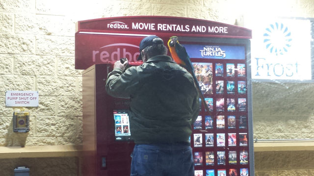 morning picdump 55 pics 45.html - 55 HD Photos | Premium Gallery 2014