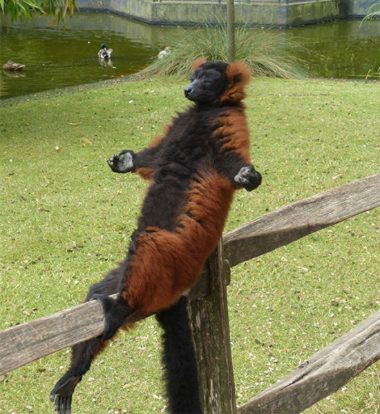 morning picdump 55 pics 45.html - 55 HD Photos | Premium Gallery 2014