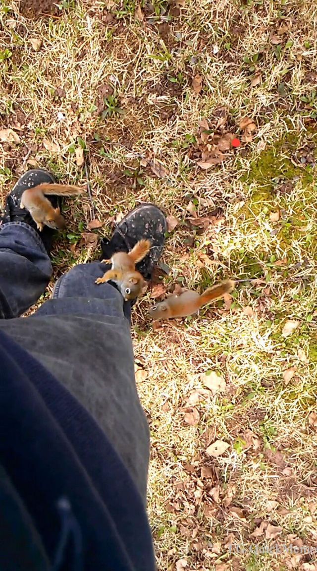 morning picdump 55 pics 45.html - 55 HD Photos | Premium Gallery 2014