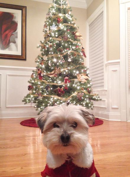 morning picdump 62 pics 40.html - 62 HD Photos | Premium Gallery 2014