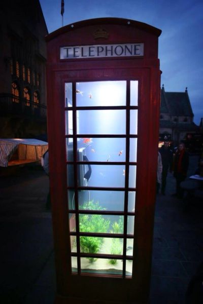 morning picdump 62 pics 40.html - 62 HD Photos | Premium Gallery 2014