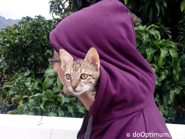 morning picdump 62 pics 40.html - 62 HD Photos | Premium Gallery 2014