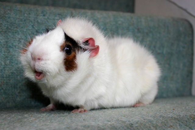 morning picdump 62 pics 40.html - 62 HD Photos | Premium Gallery 2014