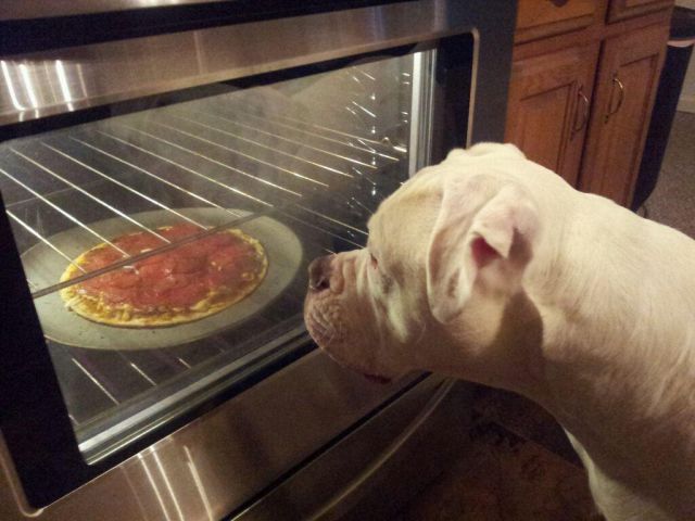 morning picdump 53 pics 20.html - 53 HD Photos | Premium Gallery 2014