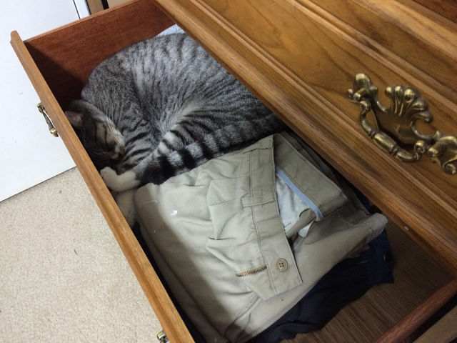 morning picdump 52 pics 2.html - 52 HD Photos | Premium Gallery 2015