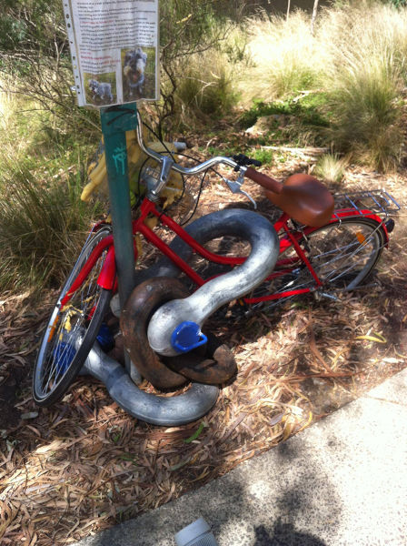 morning picdump 52 pics 2.html - 52 HD Photos | Premium Gallery 2015