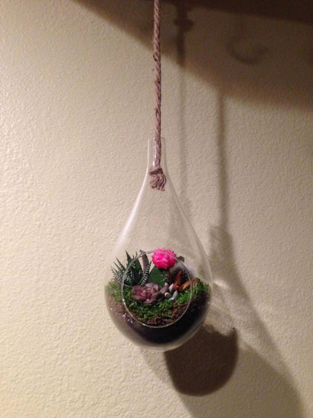 morning picdump 52 pics 2.html - 52 HD Photos | Premium Gallery 2015